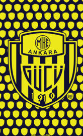 Ankaragucu - 2
