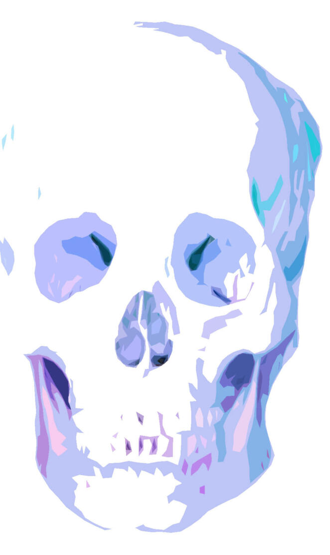 Coloured skull