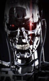 Terminator Chrome