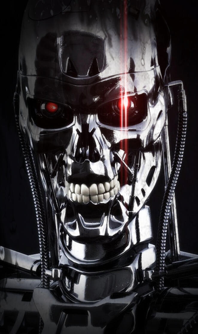 Terminator Chrome
