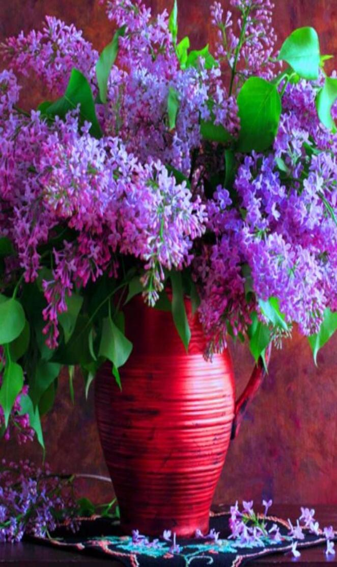 Lilacs
