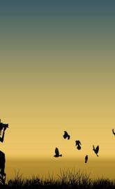 Capturing In Shadows