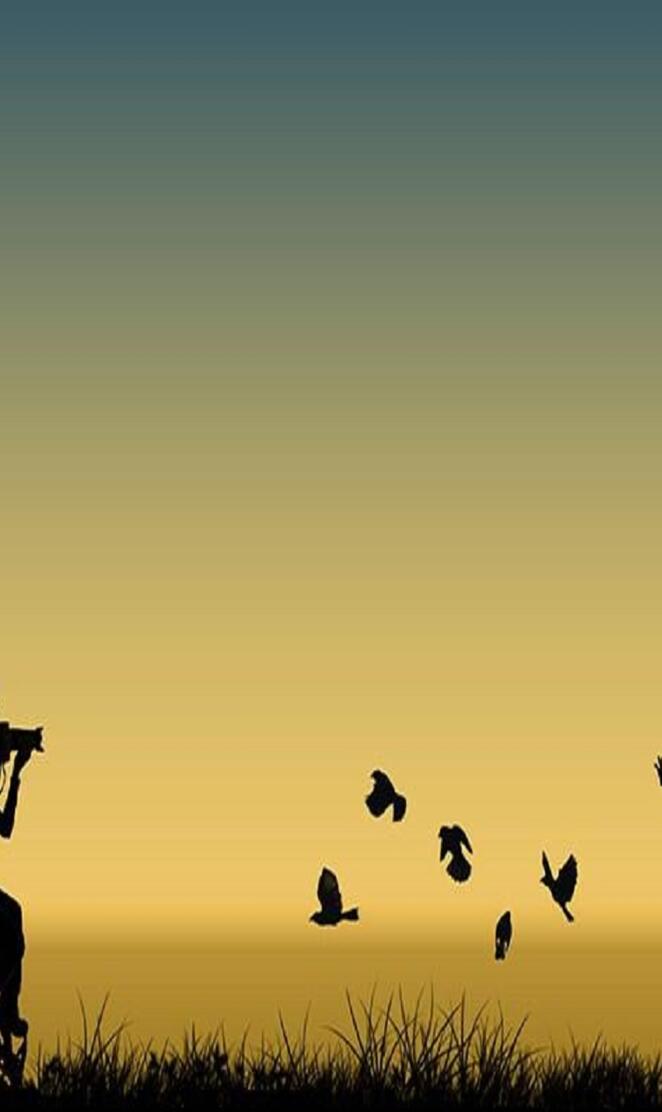 Capturing In Shadows