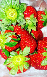 strawberrys