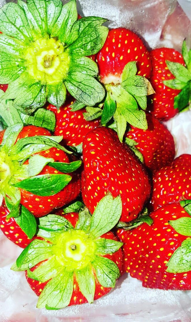 strawberrys