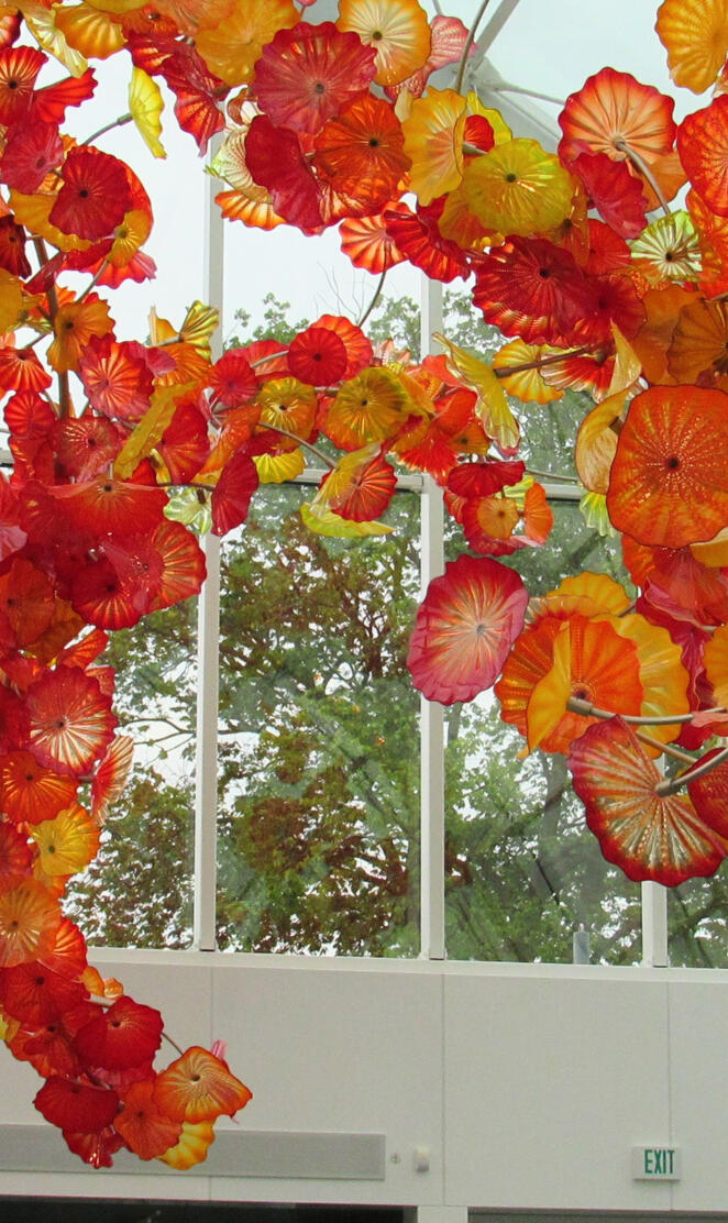 Chihuly warm colors5