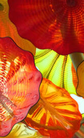 Chihuly warm colors3
