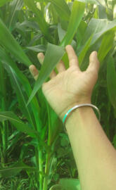 ShakeHand with Nature 