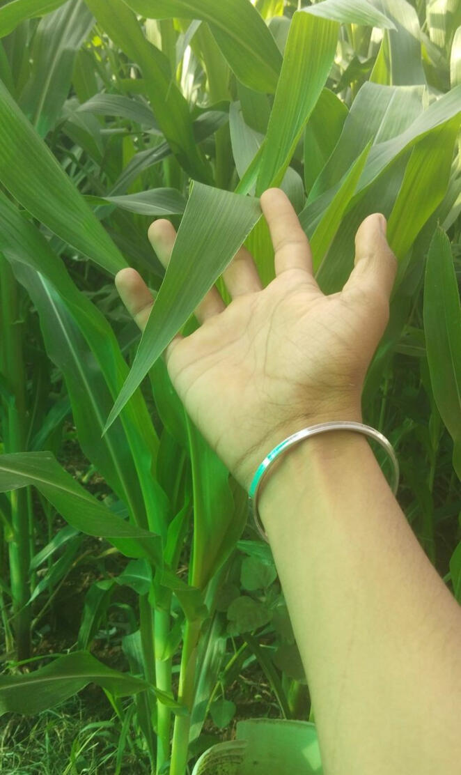 ShakeHand with Nature 