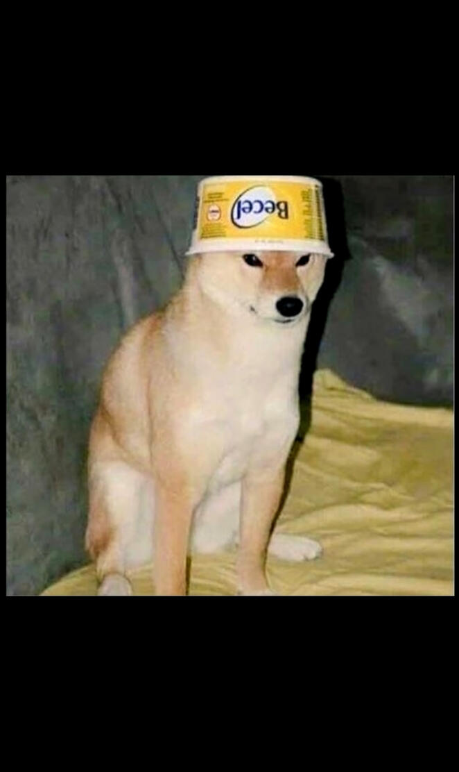 Dogo with butter 