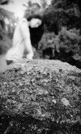 A day with daydreams