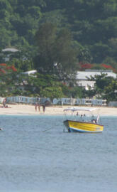 Grand anse beach