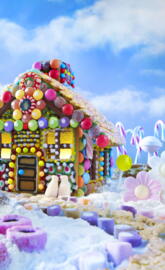 Candy House