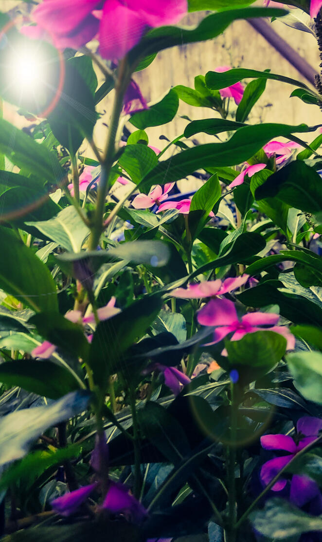 Rare image from sunris