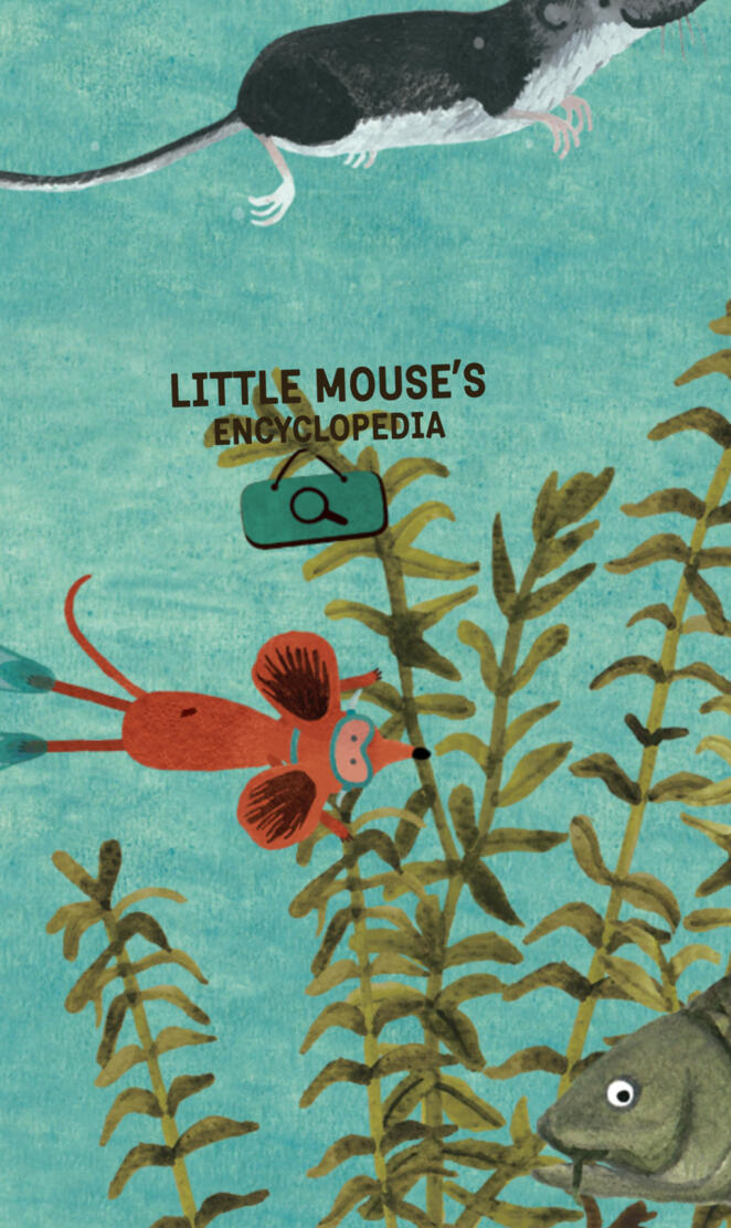 Little Mouse RDG 6