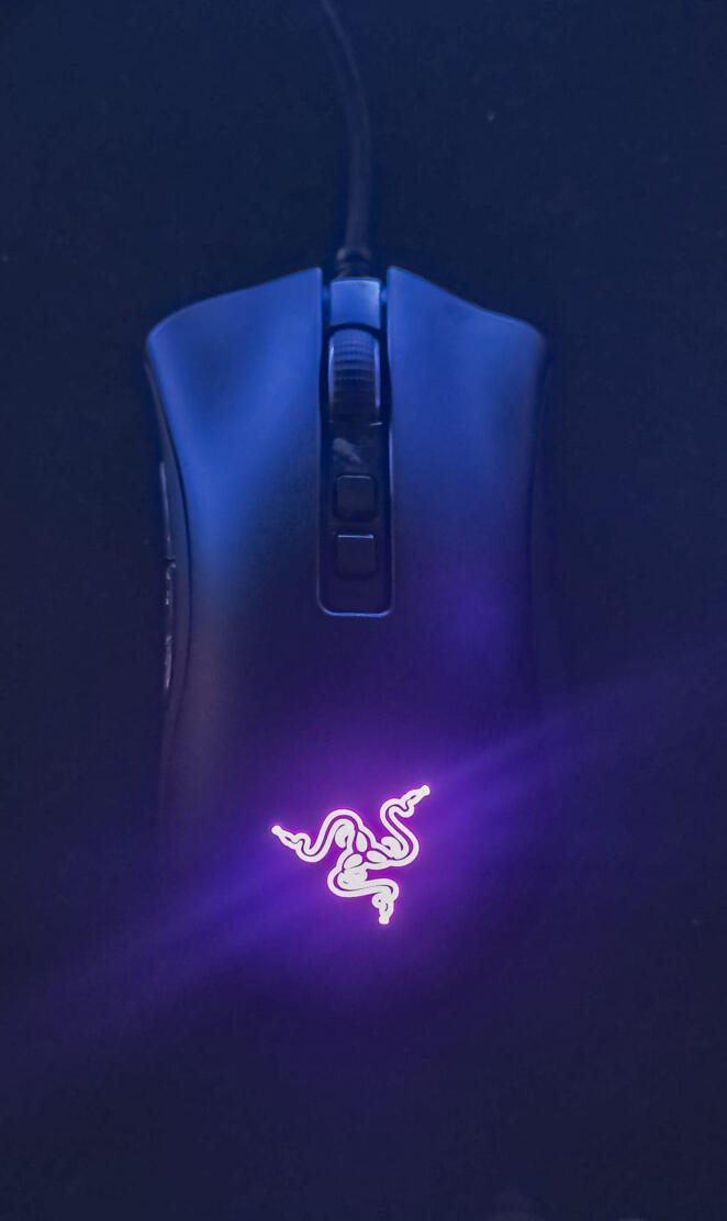 Razer Deathadder V2