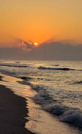 Beach sunrise 