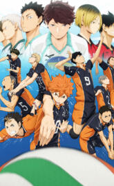 Haikyuu Anime