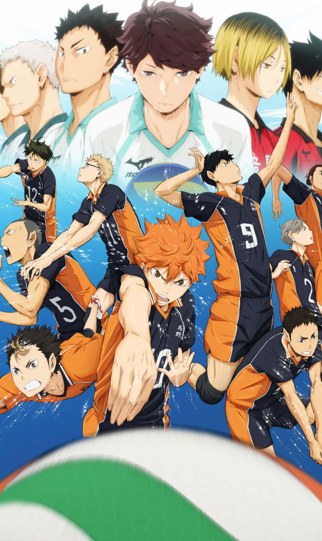 Haikyuu Anime