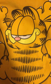 garfield