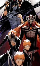 Ichigo Transformation 