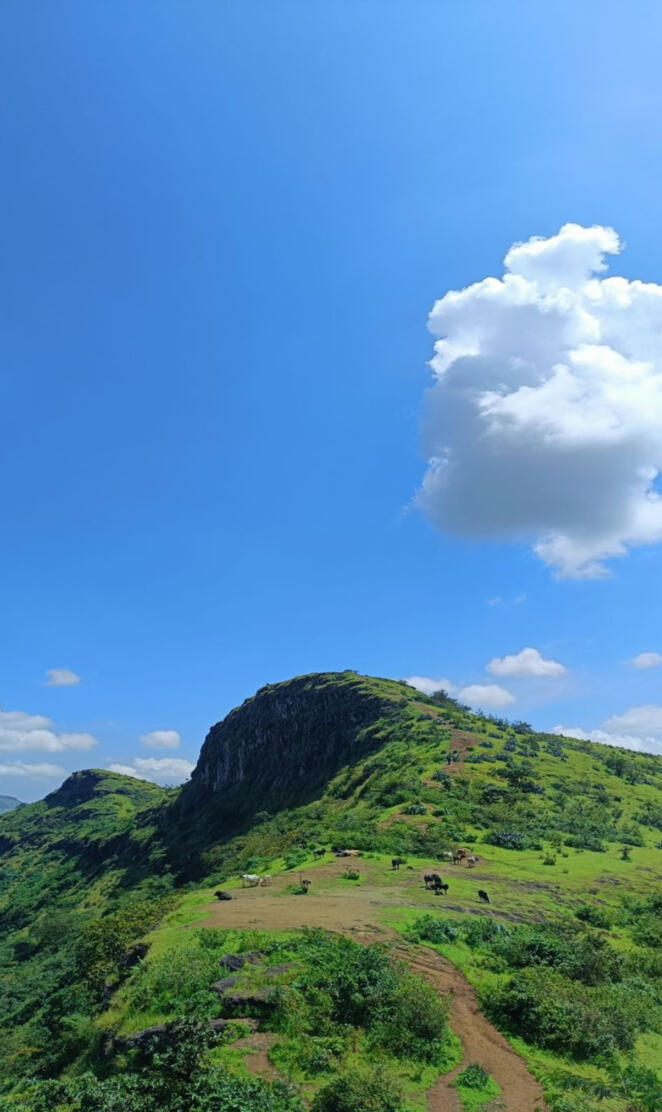 Natural 1280x1280 hq 