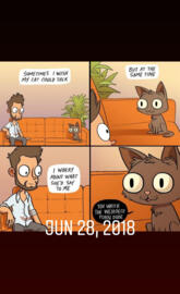 Cats these days