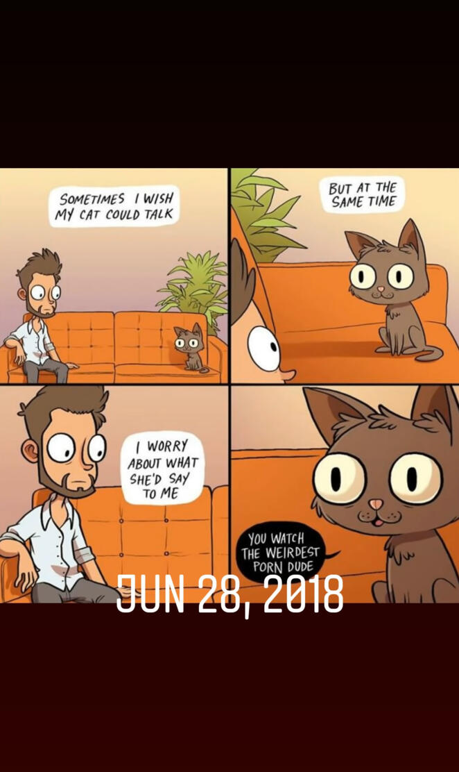 Cats these days