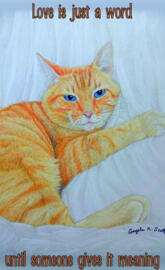 Love Meaning Cat art