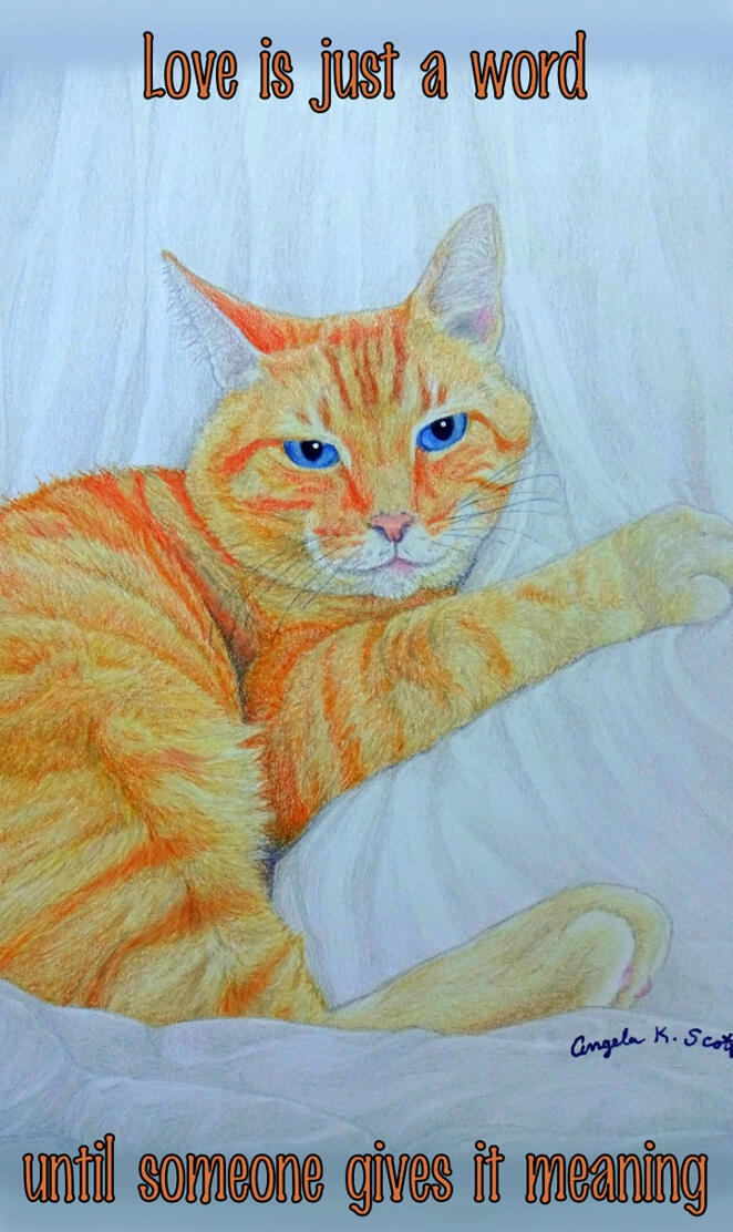 Love Meaning Cat art