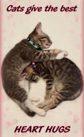 Heart Hug Kittens 