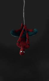 Spider tom upside down