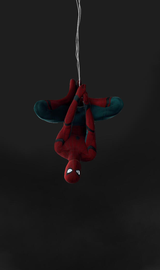 Spider tom upside down