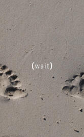 Wait For Somebody