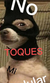 No toques mi celular