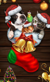 CatsAndDogsChristmas