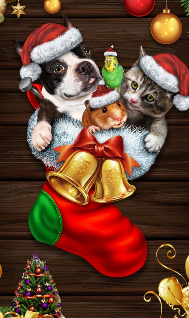 CatsAndDogsChristmas