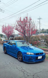 Skyline r34