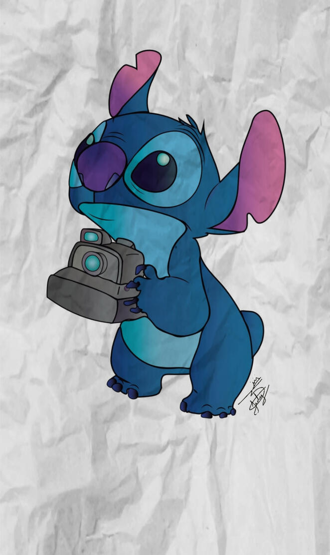 Stitch con camara 