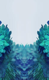 Note 20 Ultra FE FHD