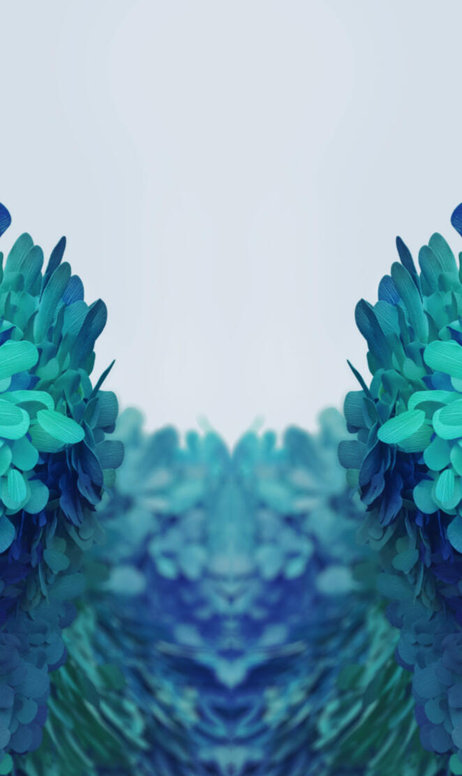 Note 20 Ultra FE FHD