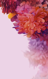 Note 20 Ultra FE FHD