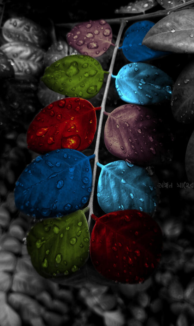 LEAF 