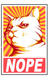Obey cats