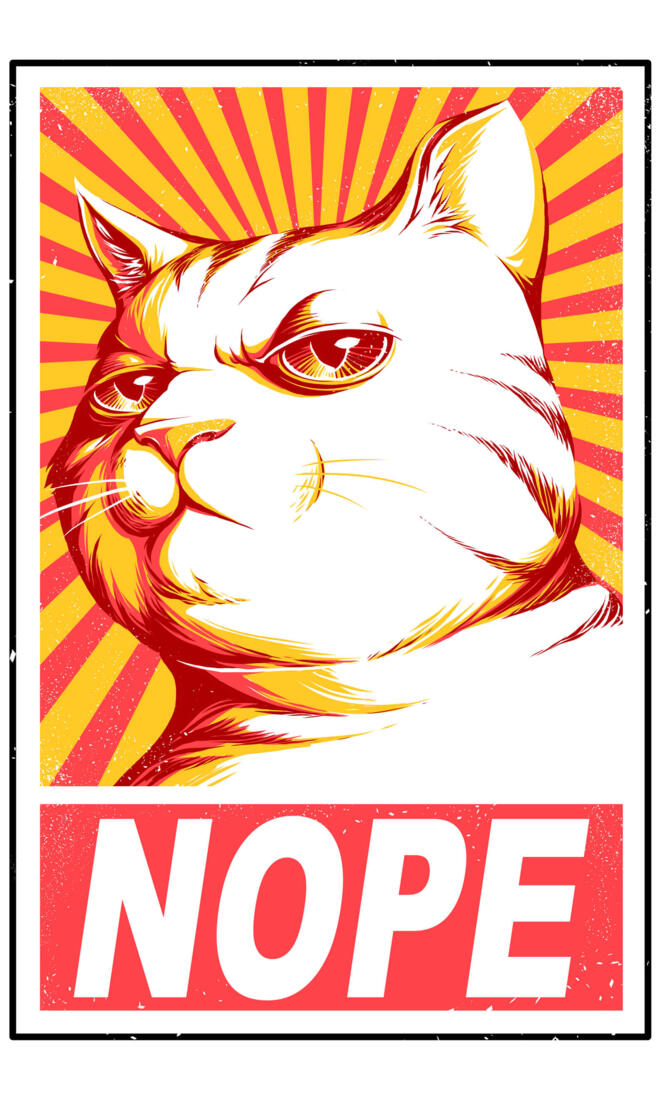 Obey cats