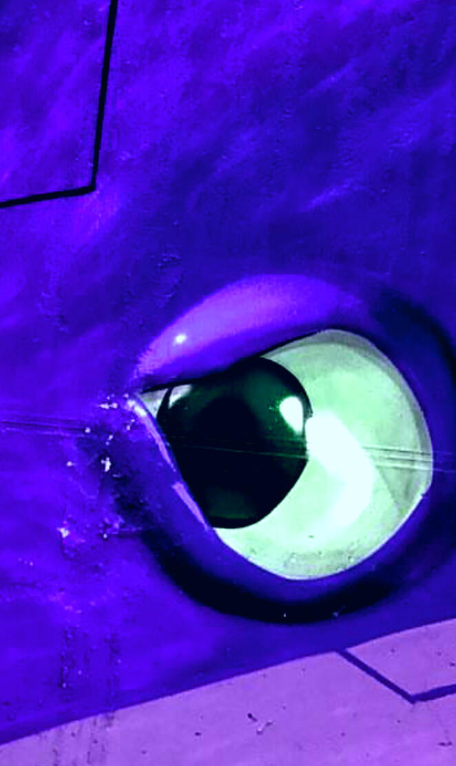 Peeking eye painting