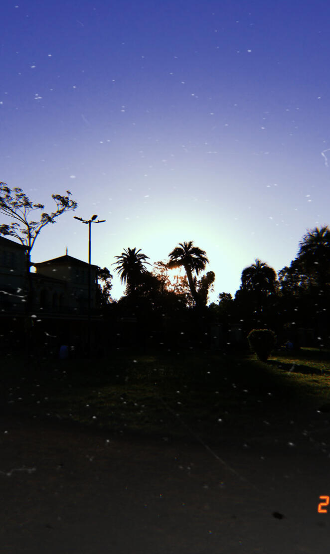 Parque