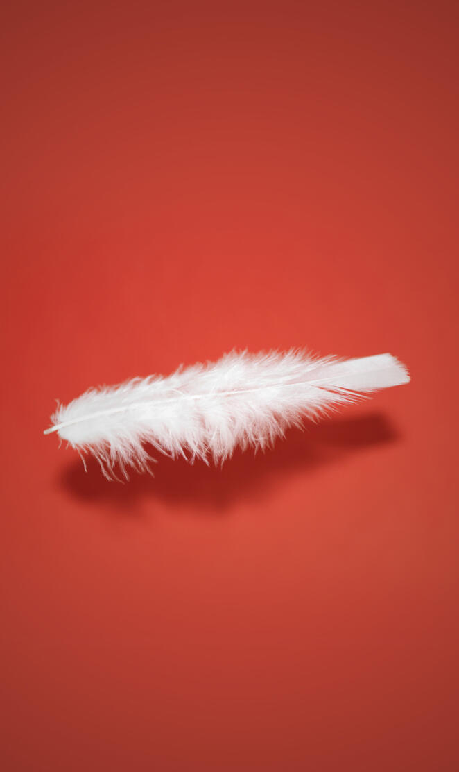 Feathers LG K10