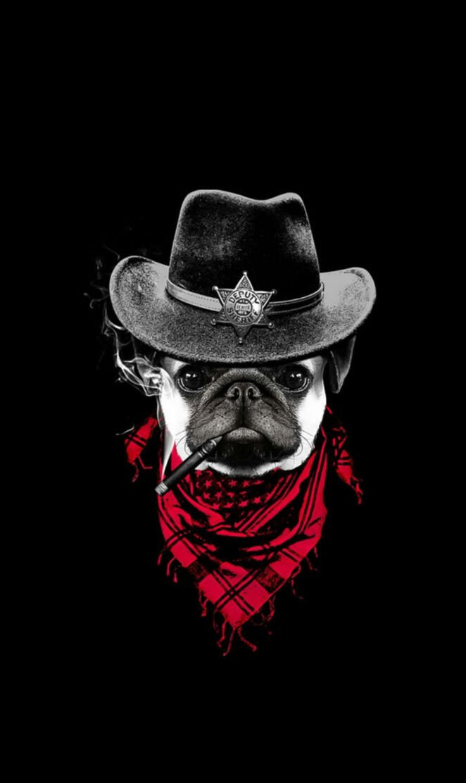 Sheriff dog