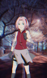 Sakura